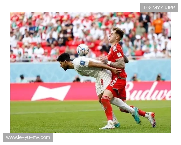 威尔士球迷激情四溢，现场气氛热烈如火！