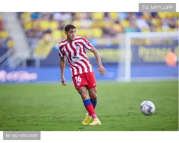 莫利纳伤愈进展顺利，状态回暖引发关注