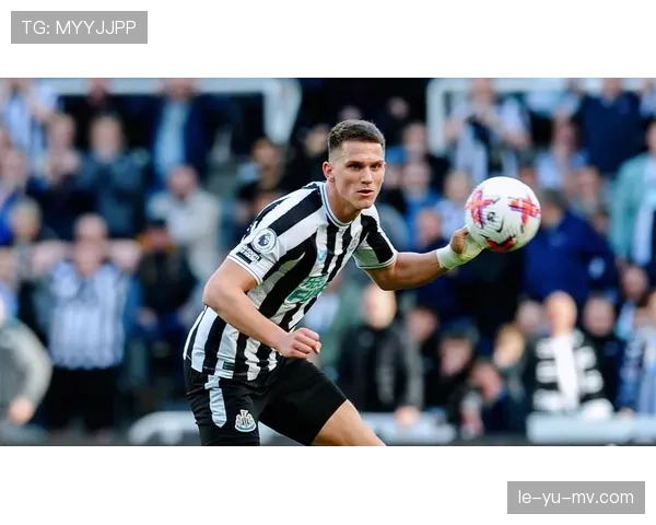 纽卡斯尔传奇持续崛起，重塑英超辉煌之路引关注