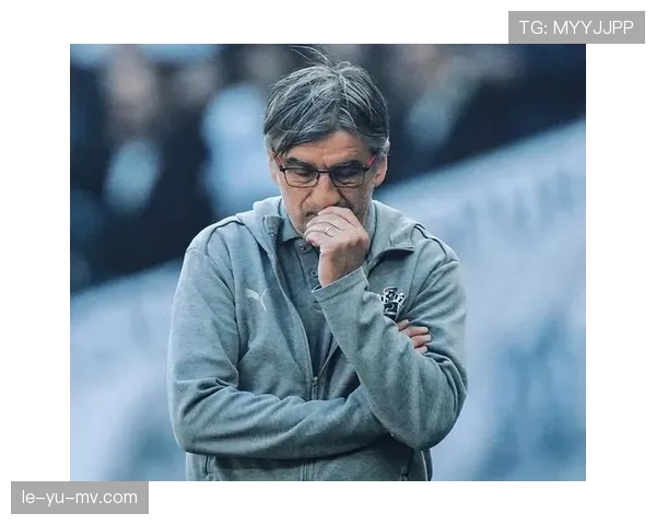 南安普顿冲击英超欧战席位：挑战重重，机遇并存