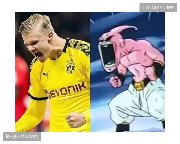 哈兰德性格低调